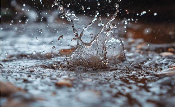 Bei Starkregen kann Wasser über die Kanalisation ins Haus zurückgedrückt werden.